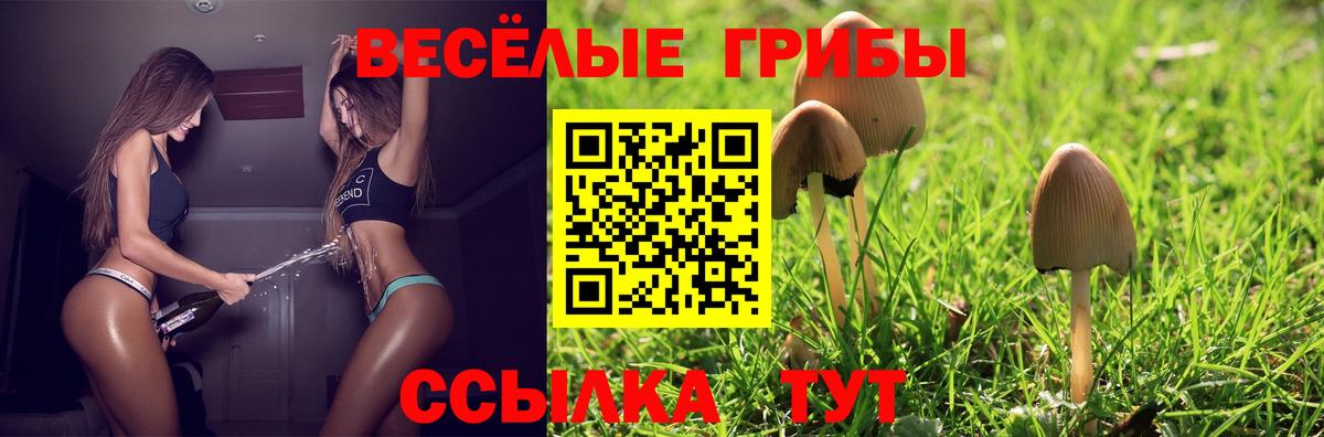 Псилоцибиновые грибы ЛСД Каменка